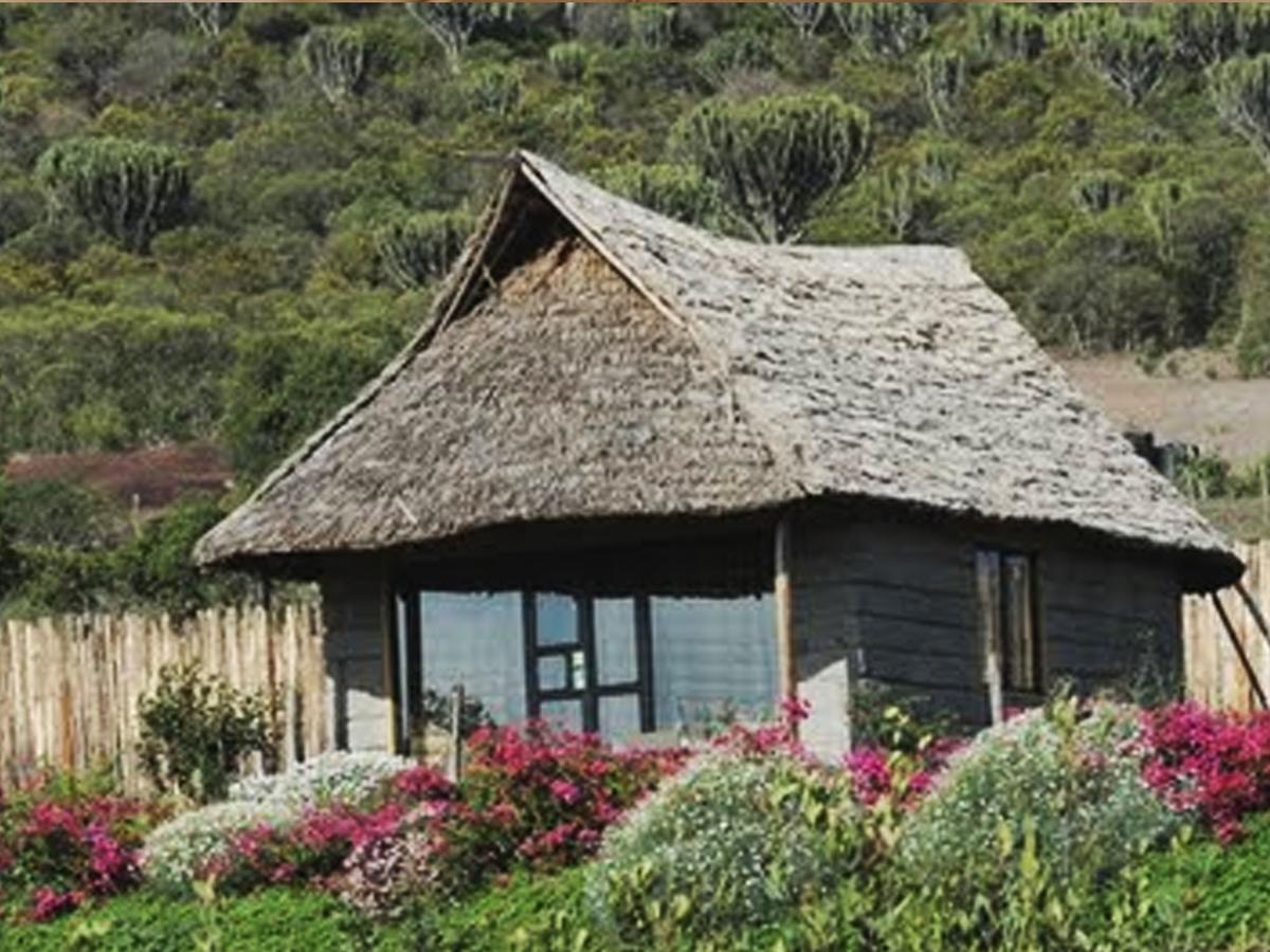 Rhino Watch Safarilodge Mweiga Quarto foto